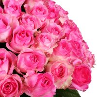 Букет 101 рожева троянда Кор Далене