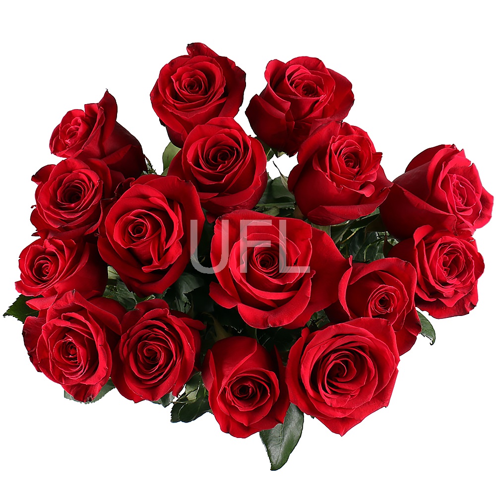 Bouquet of 15 roses (1 meter) Bouquet of 15 roses (1 meter)