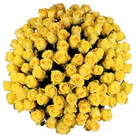 111 yellow roses Zeven