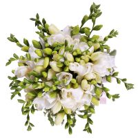 Bouquet of freesies St. John