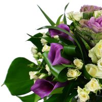 Букет квітів Фіолетово-білий Кассель