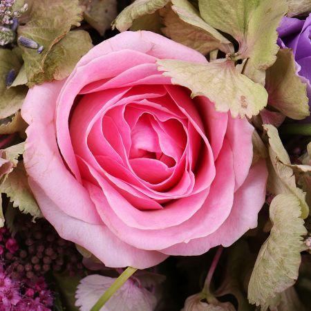  Bouquet Lavender-pink dawn
													