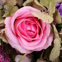  Bouquet Lavender-pink dawn Corfu
                            