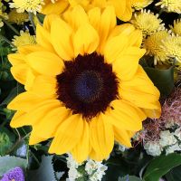  Bouquet With sunflowers Almaty
														