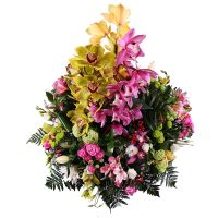  Букет Бал орхідей Каєнна
                            