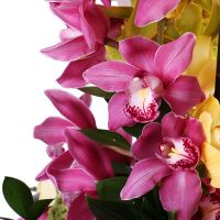  Букет Бал орхідей Кампус-дус-Гойтаказис
														