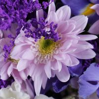 Bouquet of flowers Violet Uman
														