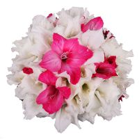Bouquet of flowers Gladiolus Grodno
														