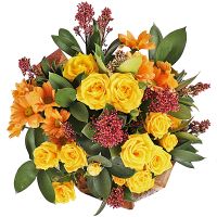 Mix of 9 Flowers in Yellow Tones Annisse Nord