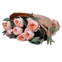 7 кремових троянд Девіда Остіна Криве Озеро