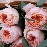 7 кремових троянд Девіда Остіна Боярка