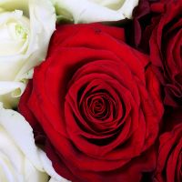 Букет квітів Рубіновий поцілунок Вейланд, Масачусетс