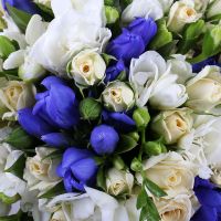 Букет цветов Гентиана Киев
                            