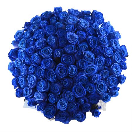 101 синя троянда 101 синя троянда