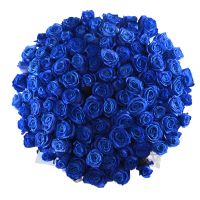 101 blue roses Tbilisi