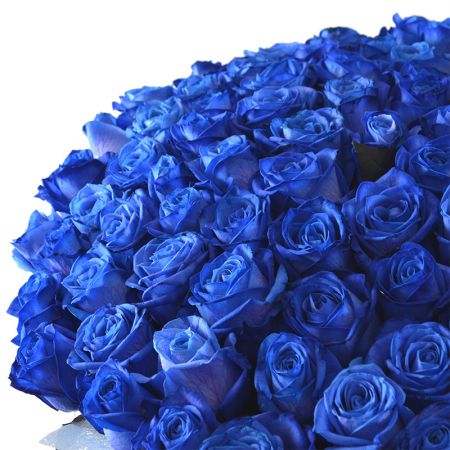 101 синяя роза 101 синяя роза