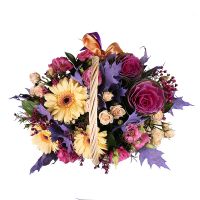 Basket of Flowers  Chetrosu