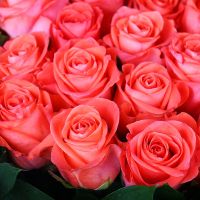 Букет цветов Изысканный подарок Бетл Грик