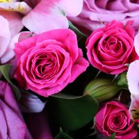Mix of Flowers in Pink Tones Chervonopartizansk