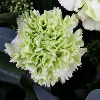 Mix of Flowers in Green Tones Kissing