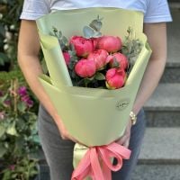 7 coral peonies Firenze