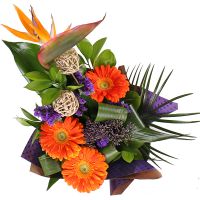  Bouquet Morning star Kostanay
                            