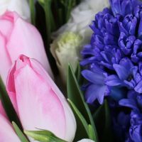 Букет цветов Милые воспоминания Маале-Адуммим