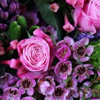  Bouquet Raspberry happiness Rogaska Slatina
                            