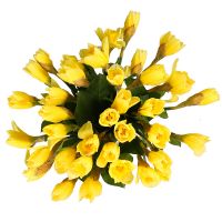 Bouquet of daffodils (35 pcs.) Alma-Ata