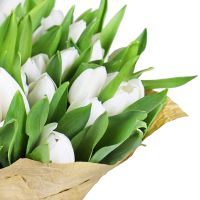 Белые тюльпаны (51 шт) Эмеральд Хиллс