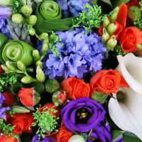  Bouquet Bright colors Roztoky
														