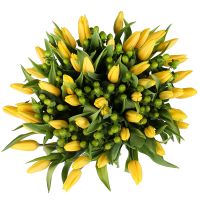 Жовті тюльпани 51 Сінгапур