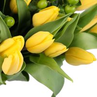 Yellow tulips 51 Singapur