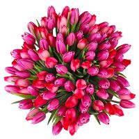 Bouquet of tulips (101 pcs.) Repki