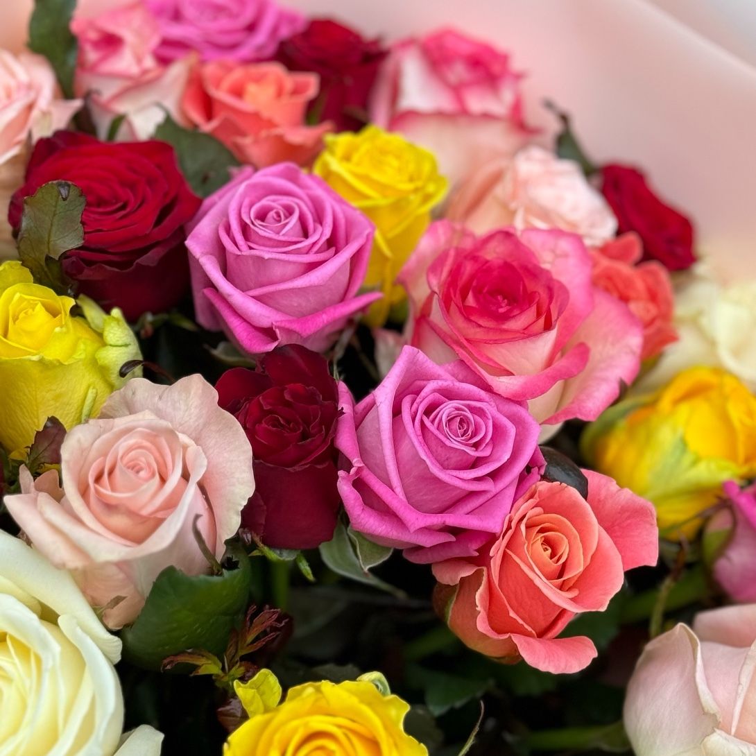 25 разноцветных роз 25 разноцветных роз
