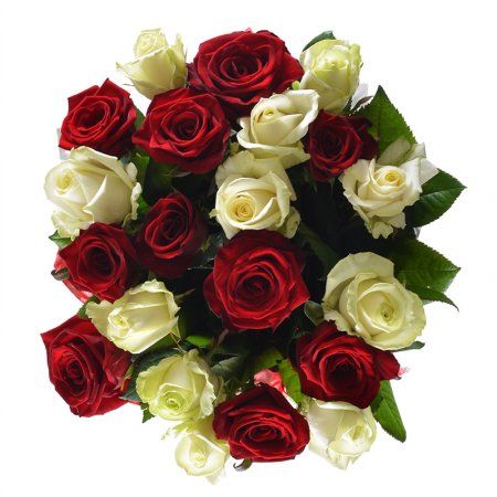 White and red roses White and red roses
