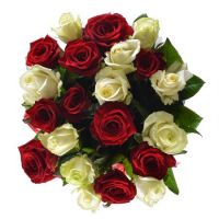 White and red roses Bossin