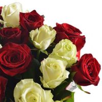 White and red roses Porlezza