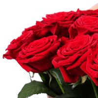 101 red rose Novyj Svet