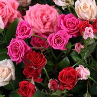 Букет квітів Кошик троянд Біналонг