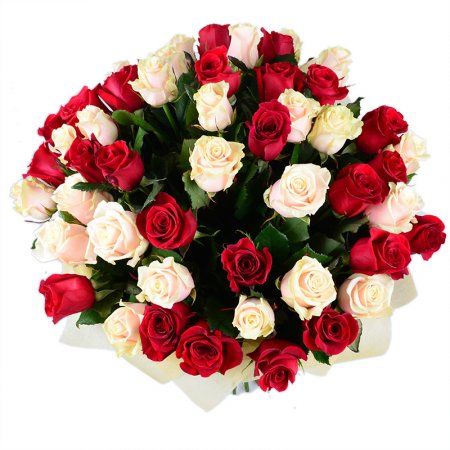 Червоно-кремові троянди (51 шт.) Червоно-кремові троянди (51 шт.)