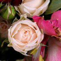  Bouquet Gentle melody Lehrte
														