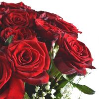 25 роз На важливу подію Олешки (до 2016 Цюрупинськ)