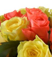 Букет Фарби літа 25 троянд Карагайли