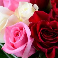  Bouquet Rose tenderness Atyrau
                            