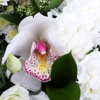 Букет з білих квітів Лейк Пласід