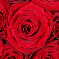 Букет красных роз в коробке Лидс