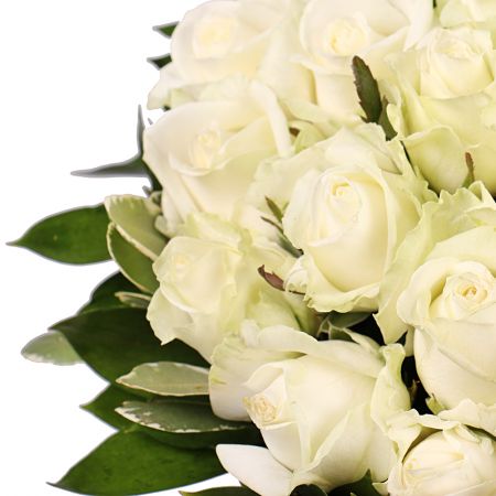 Білі троянди Легкий крем Білі троянди Легкий крем