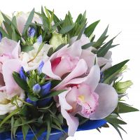Bouquet of flowers Azure Nesvizh
                            