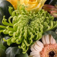  Bouquet With tenderness Farmingdale
														